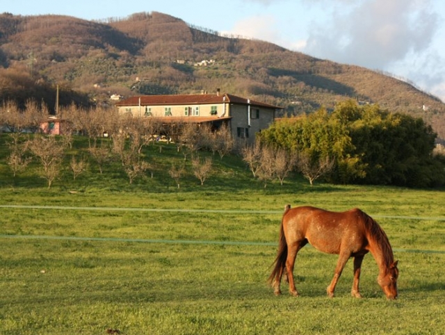  La masía 